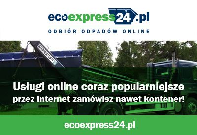 Usługi online coraz popularniejsze - przez Intern